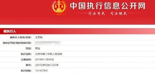 被失信执行人查询