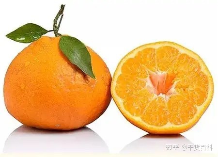 叶酸 橘子 多少