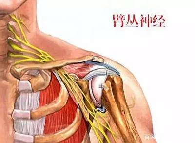 胳膊一直麻是怎么回事