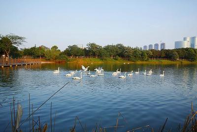 南昌市瑶湖湿地公园