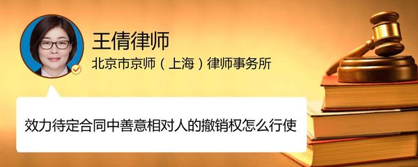 善意相对人的撤销权