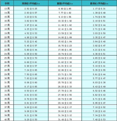 怀孕13周体重增加多少正常