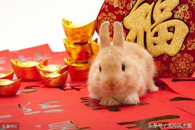 属兔一生婚姻