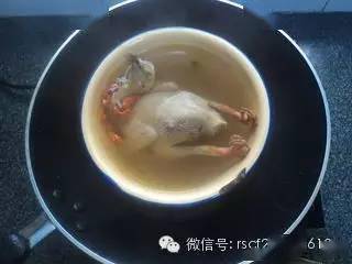 炖鸽子汤的做法