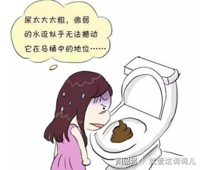 马桶被屎堵住了