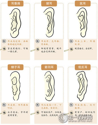 男人反耳面相