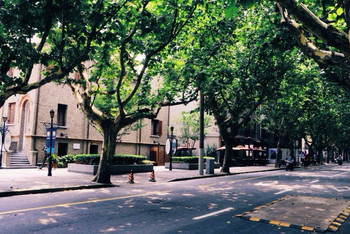 上海思南路在哪个区
