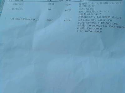 排卵期出血要检查什么项目