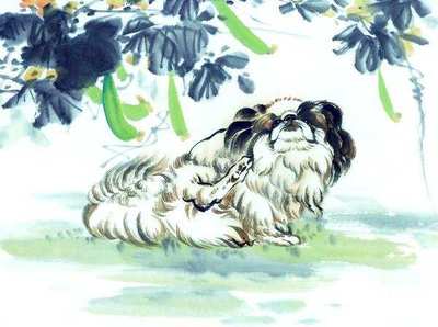 木和土是什么生肖