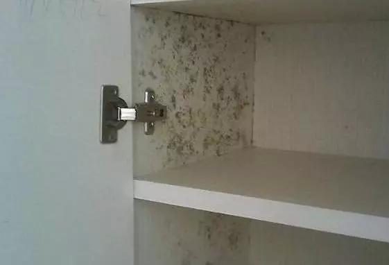 衣柜潮湿发霉怎么办