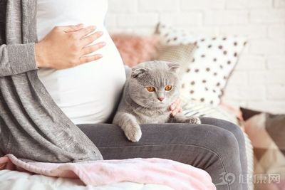 孕妇养宠物
