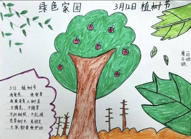 植树节的手抄报怎么画 小学生