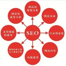 搜索引擎优化seo是什么意思(搜索优化seo)