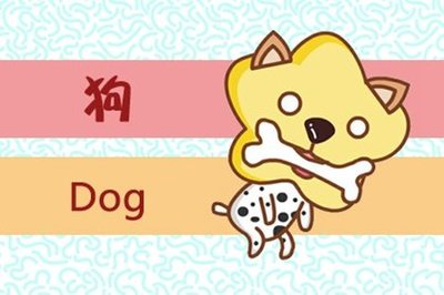 属马和属狗的合不合