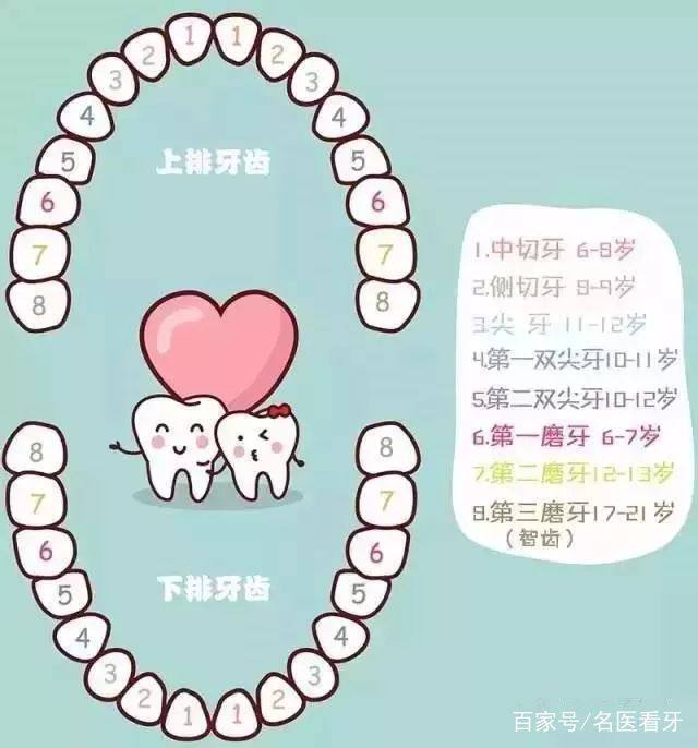 宝宝换牙图片