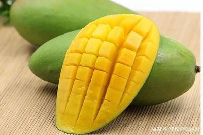 孕妇可以吃布丁吗