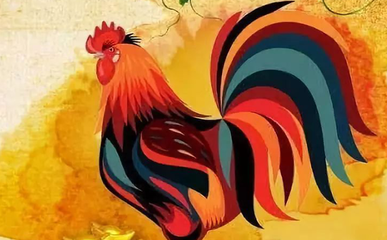 属鸡的命运如何