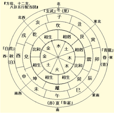 八字看天干还是地支