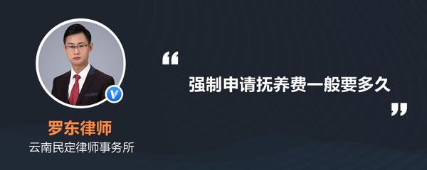 抚养费申请书怎么写