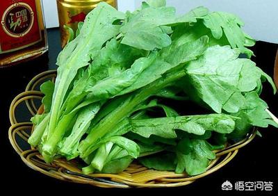 咳嗽可以吃茼蒿吗