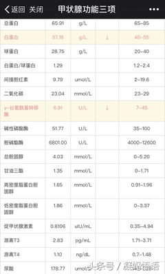 抽血化验怀孕多少钱