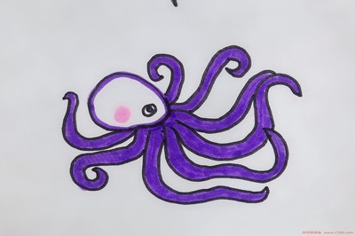 真正的章鱼怎么画
