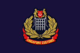 新加坡签证申请批文