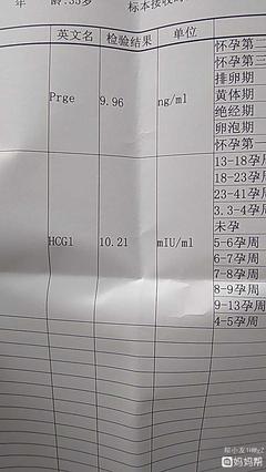排卵期英文