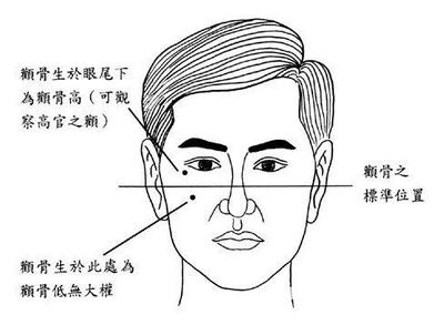 颧骨面相分析