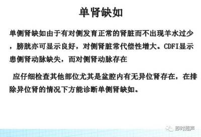胎儿单肾