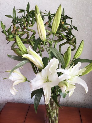 百合花孕妇可以闻吗
