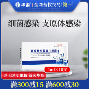 大人咳嗽低烧吃什么药