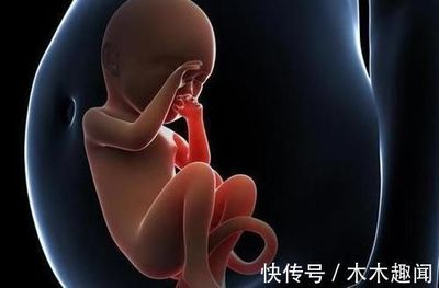 打掉的胎儿怎么处理