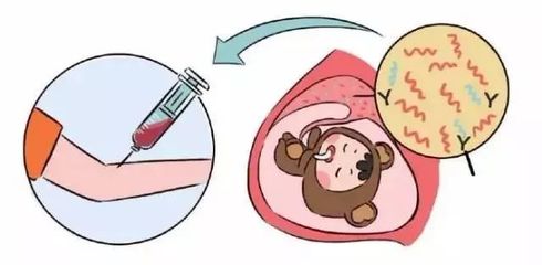 怀孕多长时间能发现