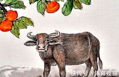 循规蹈矩是什么生肖