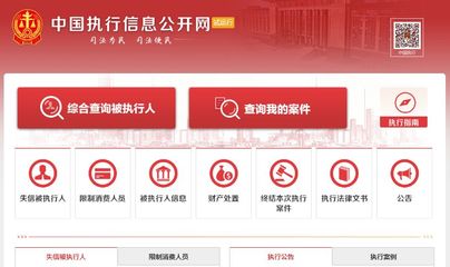 全国执行案件查询
