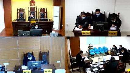 业主撤销权纠纷