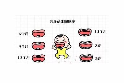 两岁宝宝多少颗牙齿