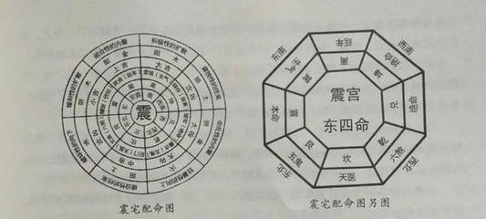 什么叫东四命