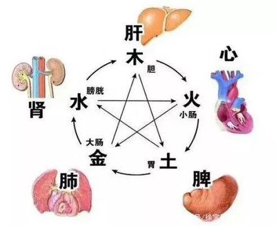 咳嗽跟肝有关系吗