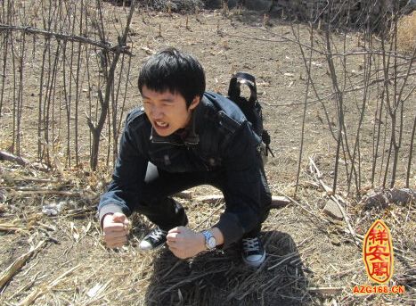梦见自己大便在裤子里