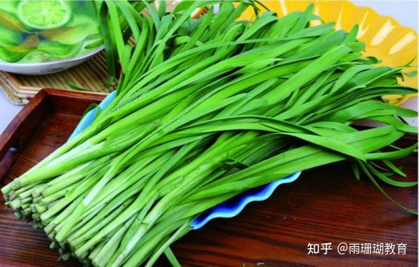 韭菜减肥能吃吗