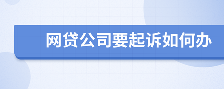 怎样起诉网贷公司
