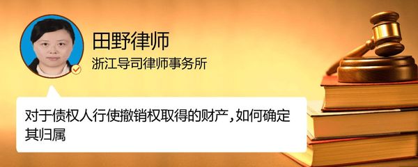 浙江导司律师事务所