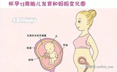 怀孕13周体重增加多少正常