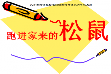 关于设计的词语