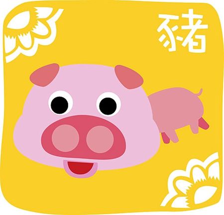 生肖猪和猪