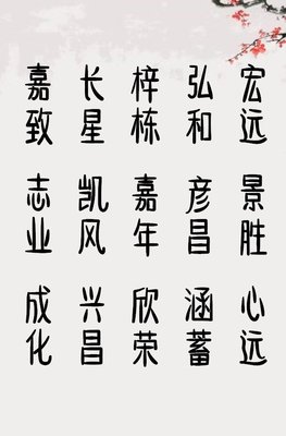 属猪男孩名字大全