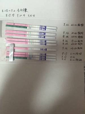 排卵期有多久
