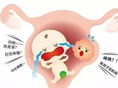 刚怀孕怎么保胎